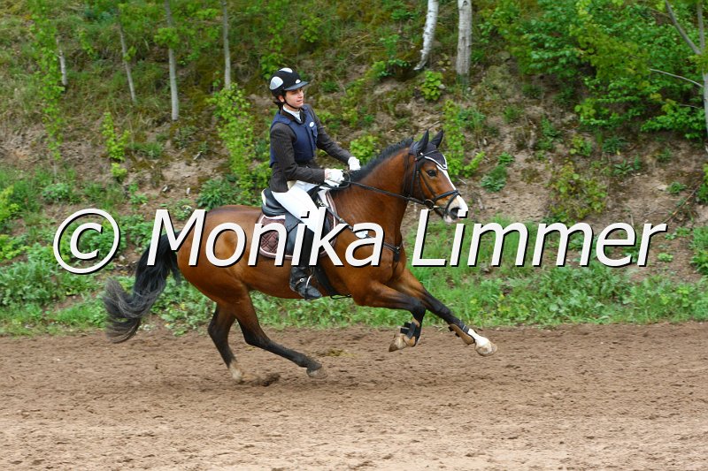 005L5155_luisa rauschert Darlington_Springreiter WB E 2011.JPG